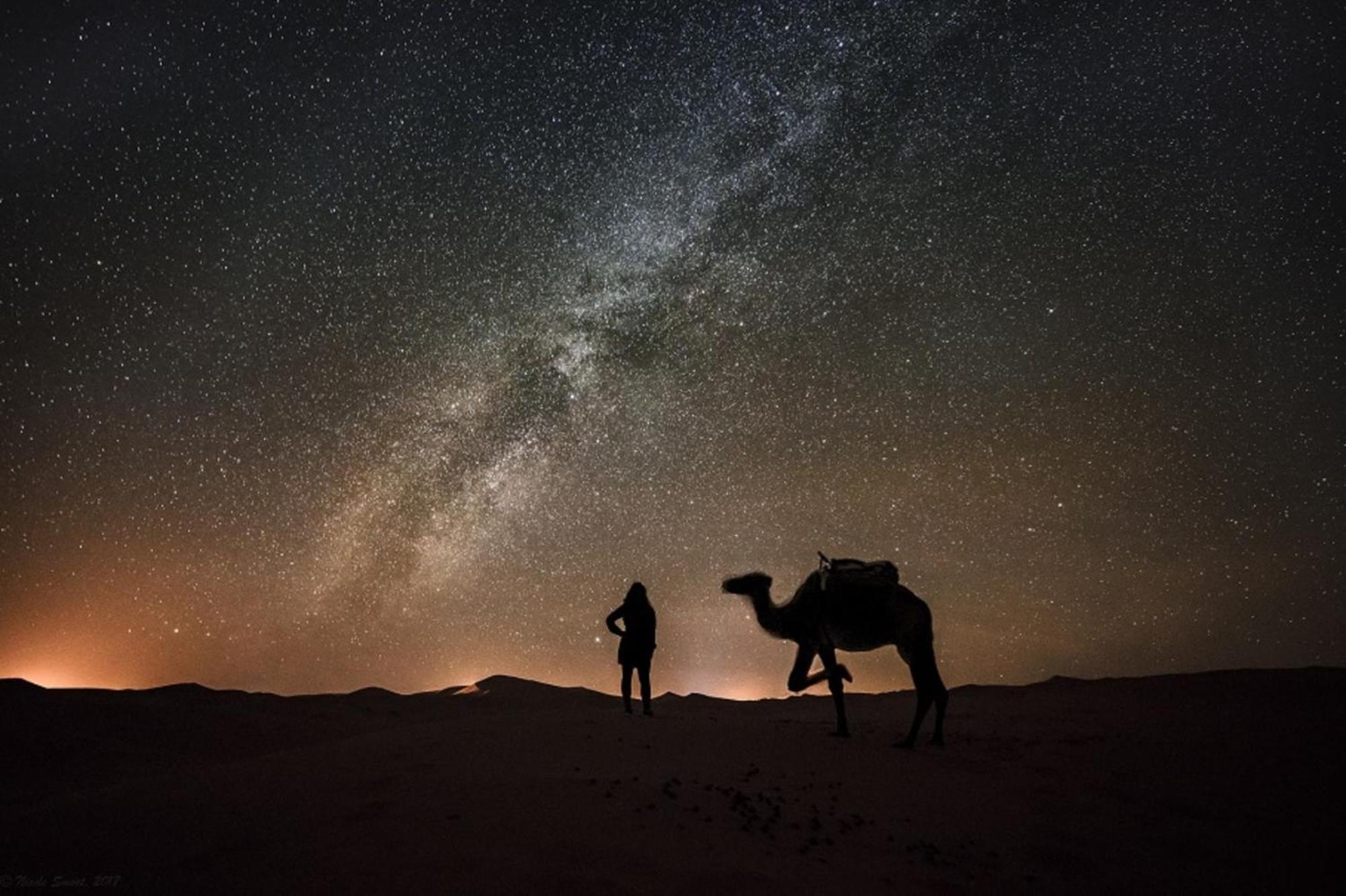 Desert Camel Trek Merzouga Eksteriør bilde