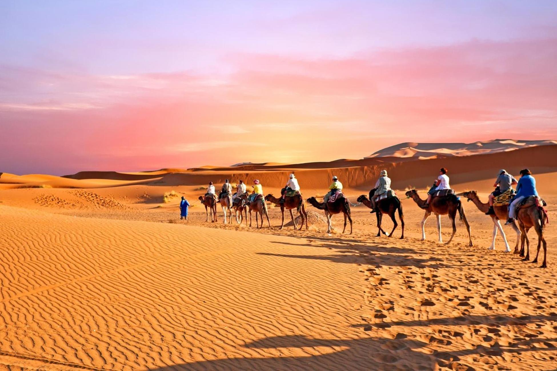 Desert Camel Trek Merzouga Eksteriør bilde