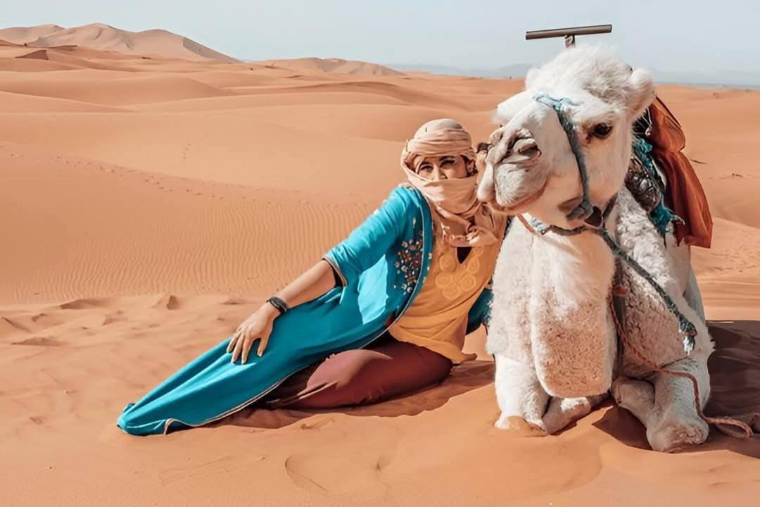 Desert Camel Trek Merzouga Eksteriør bilde