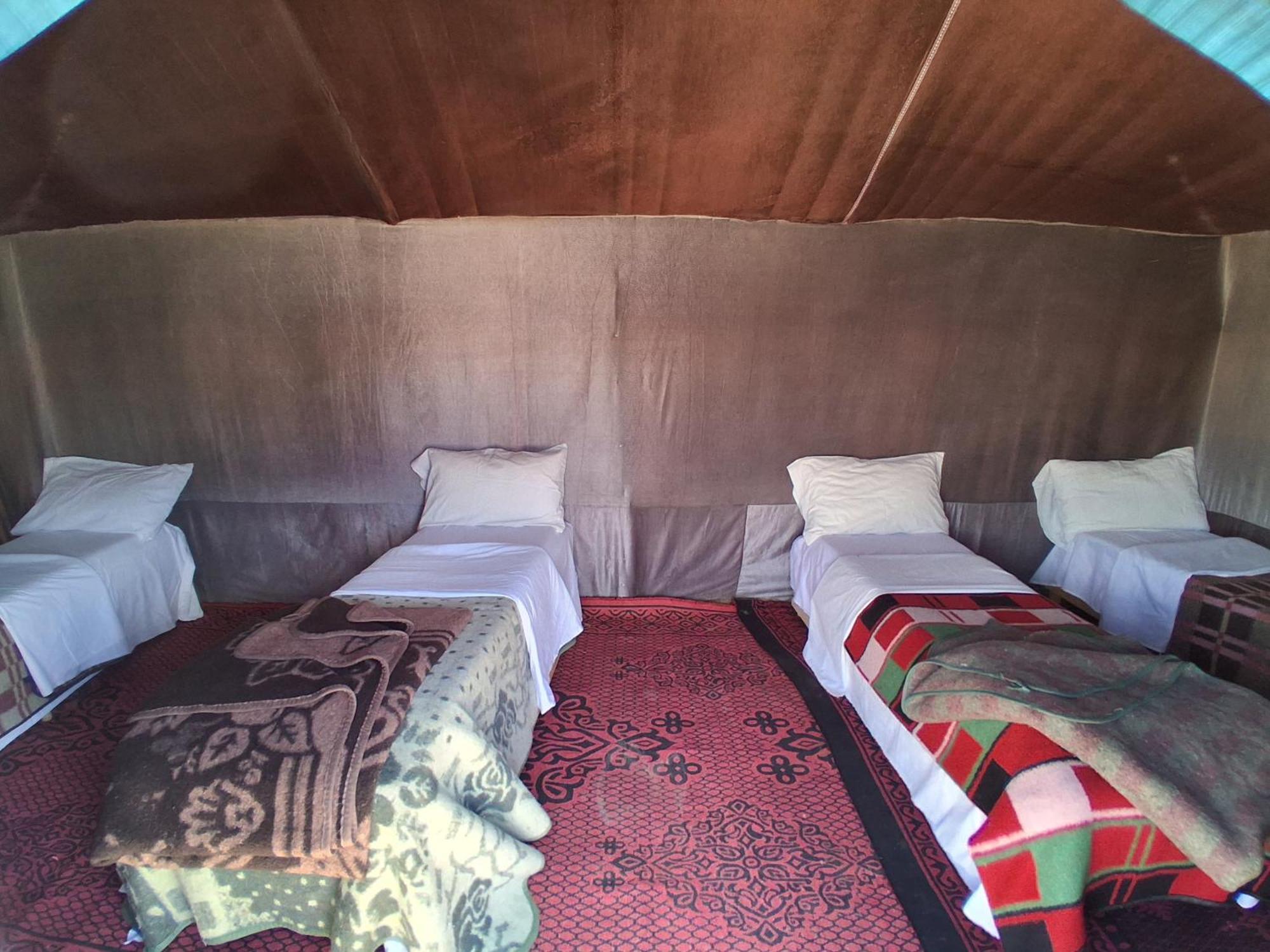 Desert Camel Trek Merzouga Rom bilde